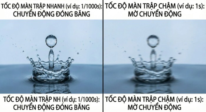 motion-vi motion-vi